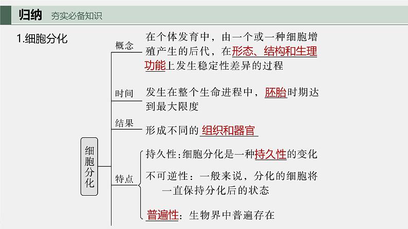 （新人教版）高考生物一轮复习讲义课件 第4单元　第5课时　细胞的分化、衰老和死亡（含解析）05