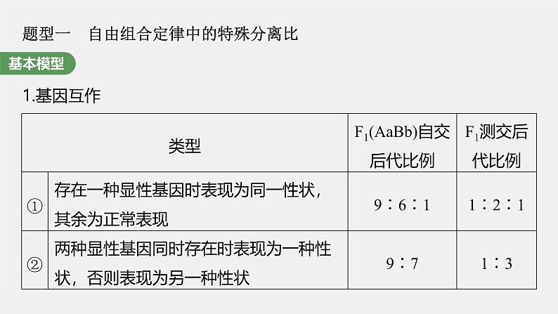 （新人教版）高考生物一轮复习讲义课件 第5单元　第6课时　基因自由组合定律拓展题型突破（含解析）第3页