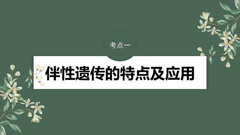 （新人教版）高考生物一轮复习讲义课件 第5单元　第8课时　伴性遗传的特点与应用及人类遗传病（含解析）第4页