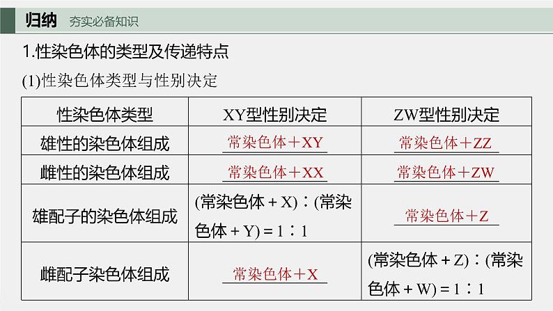 （新人教版）高考生物一轮复习讲义课件 第5单元　第8课时　伴性遗传的特点与应用及人类遗传病（含解析）第5页