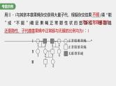 （新人教版）高考生物一轮复习讲义课件 第5单元　长句表达(三)　遗传实验中相关推理分析（含解析）