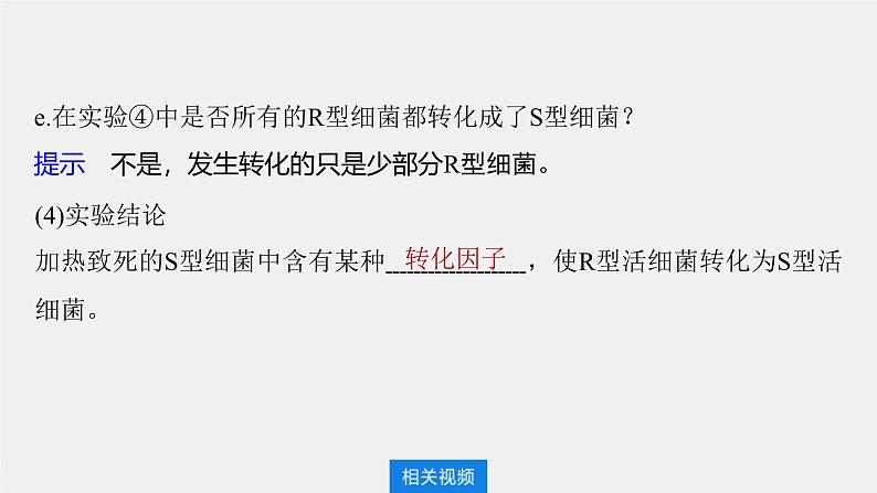 （新人教版）高考生物一轮复习讲义课件 第6单元　第1课时　DNA是主要的遗传物质（含解析）第8页