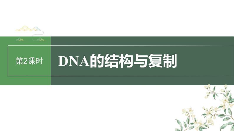 （新人教版）高考生物一轮复习讲义课件 第6单元　第2课时　DNA的结构与复制（含解析）第1页