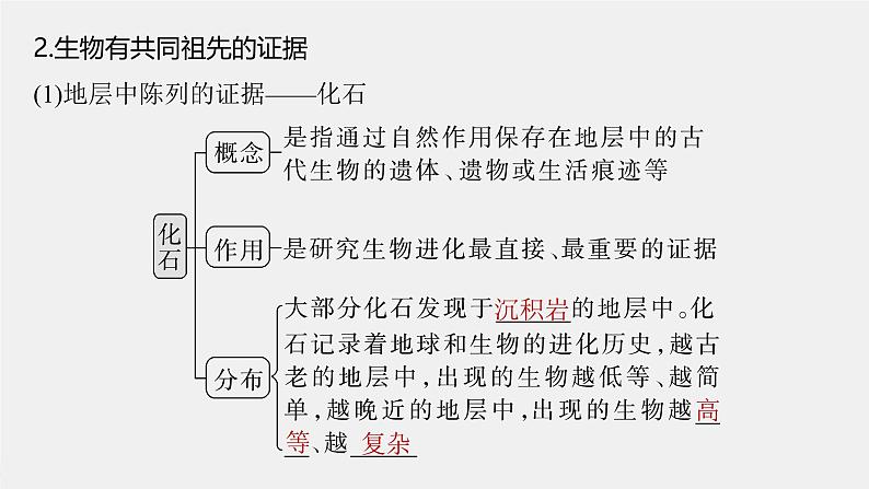 （新人教版）高考生物一轮复习讲义课件 第7单元　第3课时　生物的进化（含解析）第6页