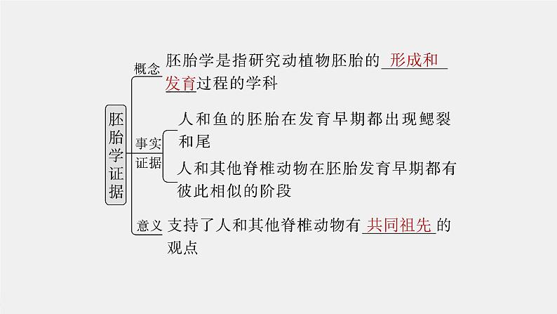 （新人教版）高考生物一轮复习讲义课件 第7单元　第3课时　生物的进化（含解析）第8页