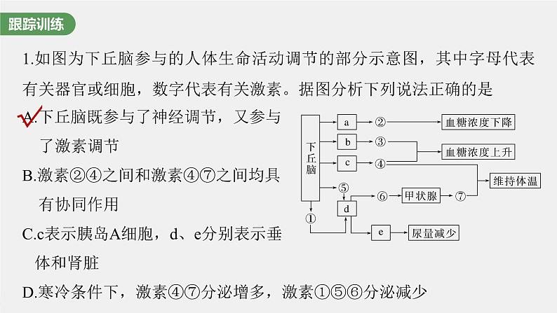 （新人教版）高考生物一轮复习讲义课件 第八单元　微专题六　动物生命活动调节模型的构建和分析（含解析）04