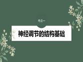 （新人教版）高考生物一轮复习讲义课件 第8单元　第2课时　神经调节的结构基础及基本方式（含解析）