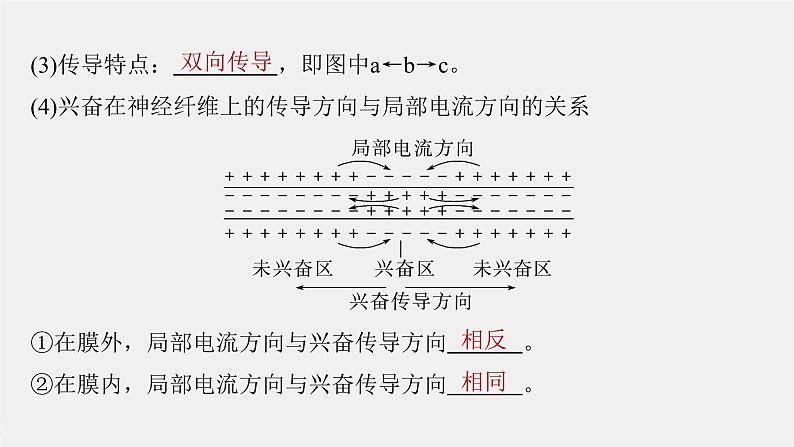 （新人教版）高考生物一轮复习讲义课件 第8单元　第3课时　神经冲动的产生、传导和传递（含解析）第7页