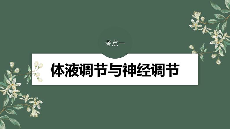 （新人教版）高考生物一轮复习讲义课件 第8单元　第6课时　体液调节与神经调节的关系（含解析）第4页