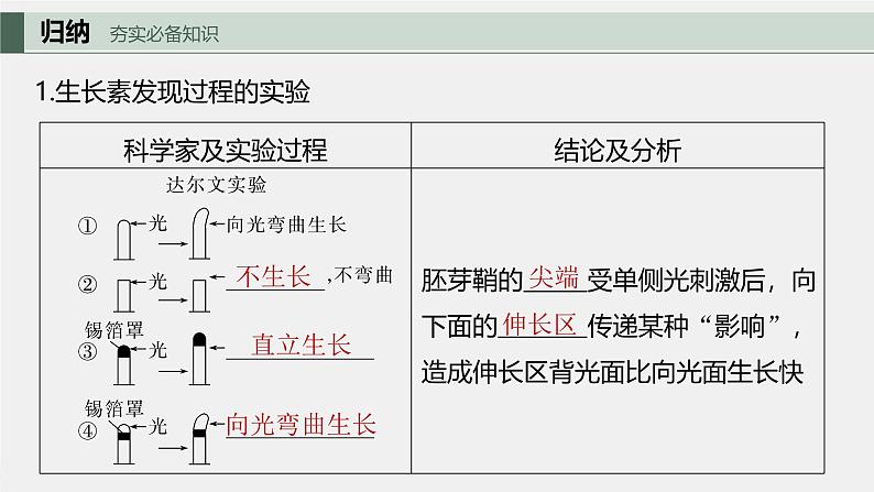 （新人教版）高考生物一轮复习讲义课件 第8单元　第9课时　植物生长素及其生理作用（含解析）第5页