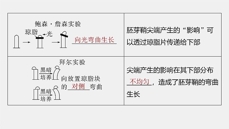 （新人教版）高考生物一轮复习讲义课件 第8单元　第9课时　植物生长素及其生理作用（含解析）06