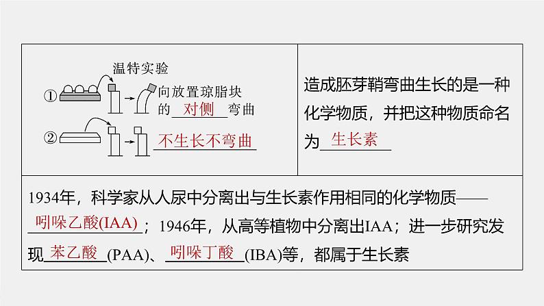 （新人教版）高考生物一轮复习讲义课件 第8单元　第9课时　植物生长素及其生理作用（含解析）第7页