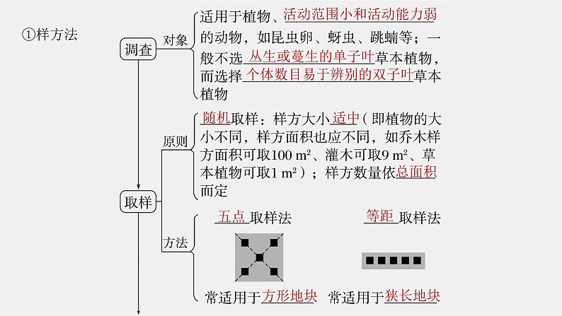 （新人教版）高考生物一轮复习讲义课件 第9单元　第1课时　种群的数量特征（含解析）07