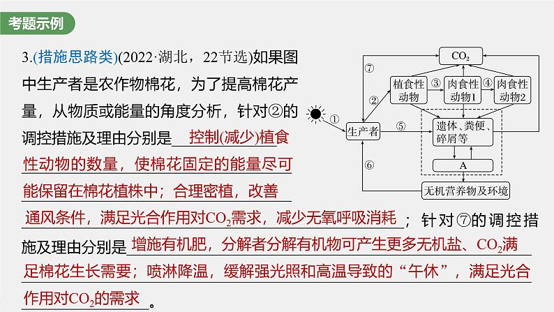 （新人教版）高考生物一轮复习讲义课件 第9单元　长句表达(五)　群体稳态中相关概念、措施及意义分析（含解析）第4页