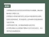 （新人教版）高考生物一轮复习讲义课件 第10单元　第6课时　基因工程的基本工具和基本操作程序（含解析）