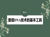 （新人教版）高考生物一轮复习讲义课件 第10单元　第6课时　基因工程的基本工具和基本操作程序（含解析）