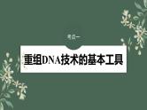 （新人教版）高考生物一轮复习讲义课件 第10单元　第6课时　基因工程的基本工具和基本操作程序（含解析）
