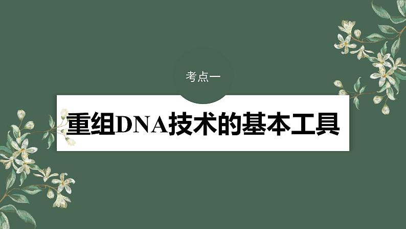 （新人教版）高考生物一轮复习讲义课件 第10单元　第6课时　基因工程的基本工具和基本操作程序（含解析）第4页