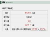 （新人教版）高考生物一轮复习讲义课件 第10单元　第6课时　基因工程的基本工具和基本操作程序（含解析）