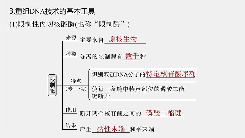 （新人教版）高考生物一轮复习讲义课件 第10单元　第6课时　基因工程的基本工具和基本操作程序（含解析）第8页