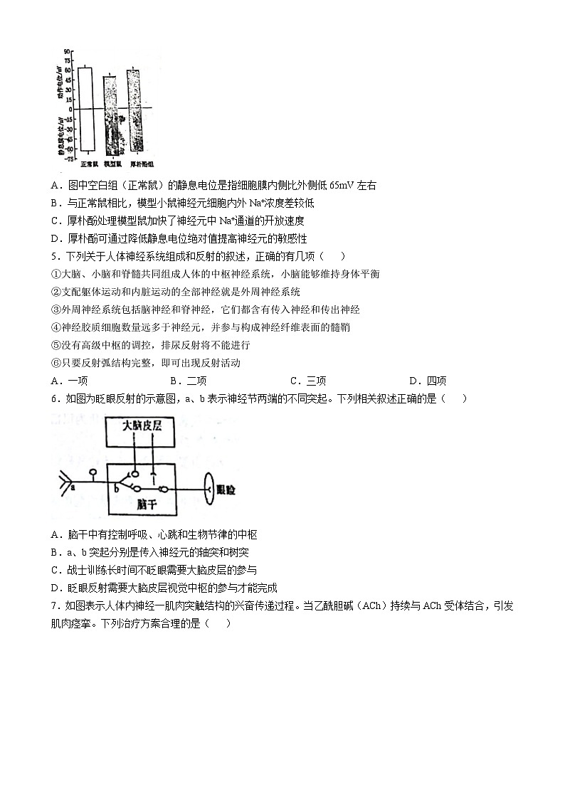 江苏省南京市玄武区南京市第十三中学2024-2025学年高二上学期10月期中生物试题(无答案)第2页