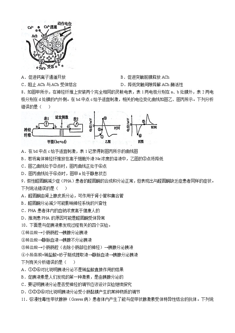 江苏省南京市玄武区南京市第十三中学2024-2025学年高二上学期10月期中生物试题(无答案)第3页