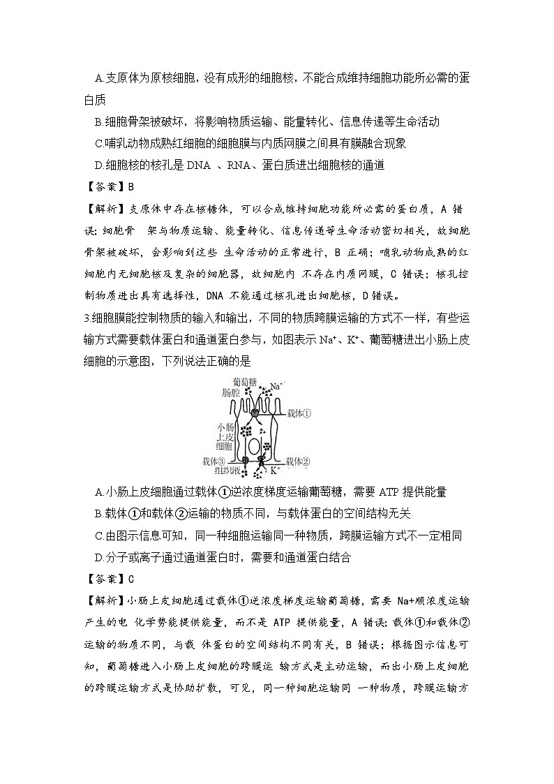 湖南省2024-2025学年高三上学期一轮复习联考（二）生物试卷（Word版附答案）02