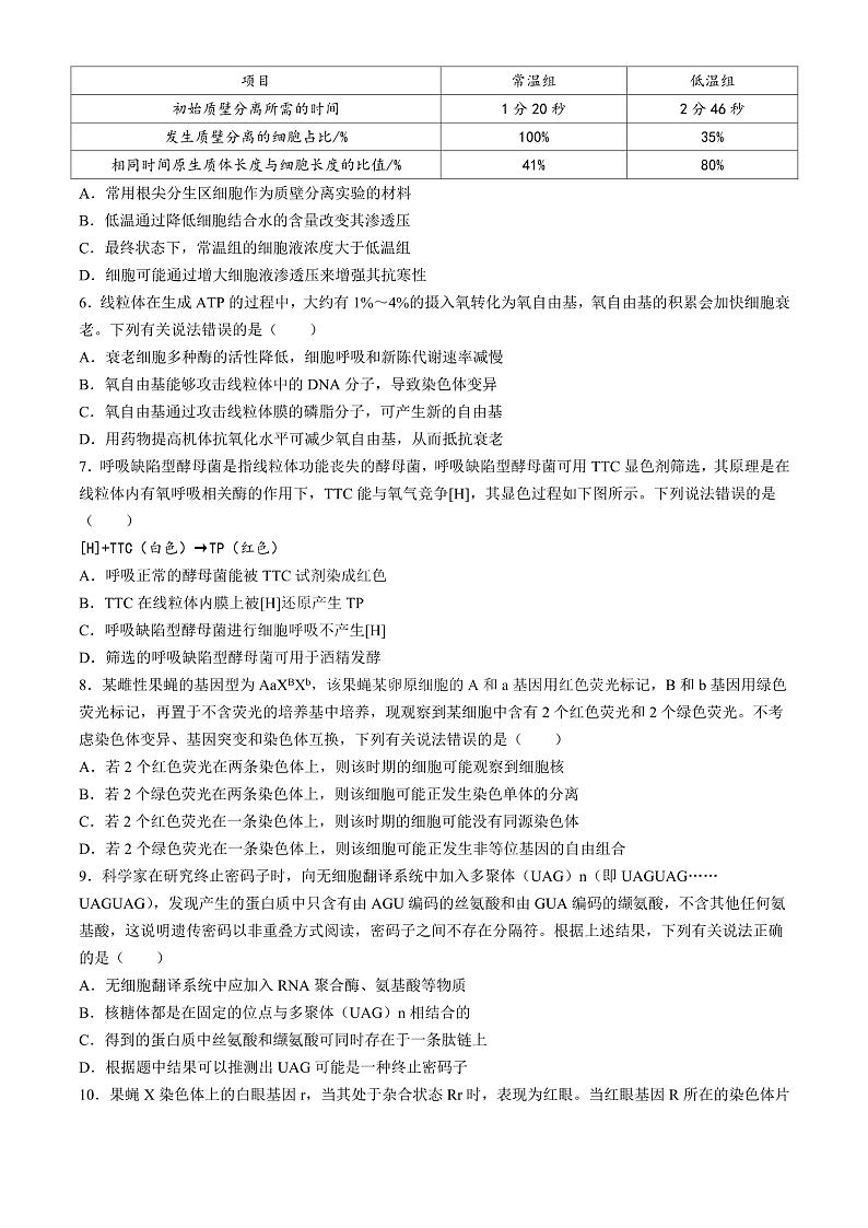 河南省天一大联考2024-2025学年高三上学期10月阶段性检测（二）生物试题（含答案）02