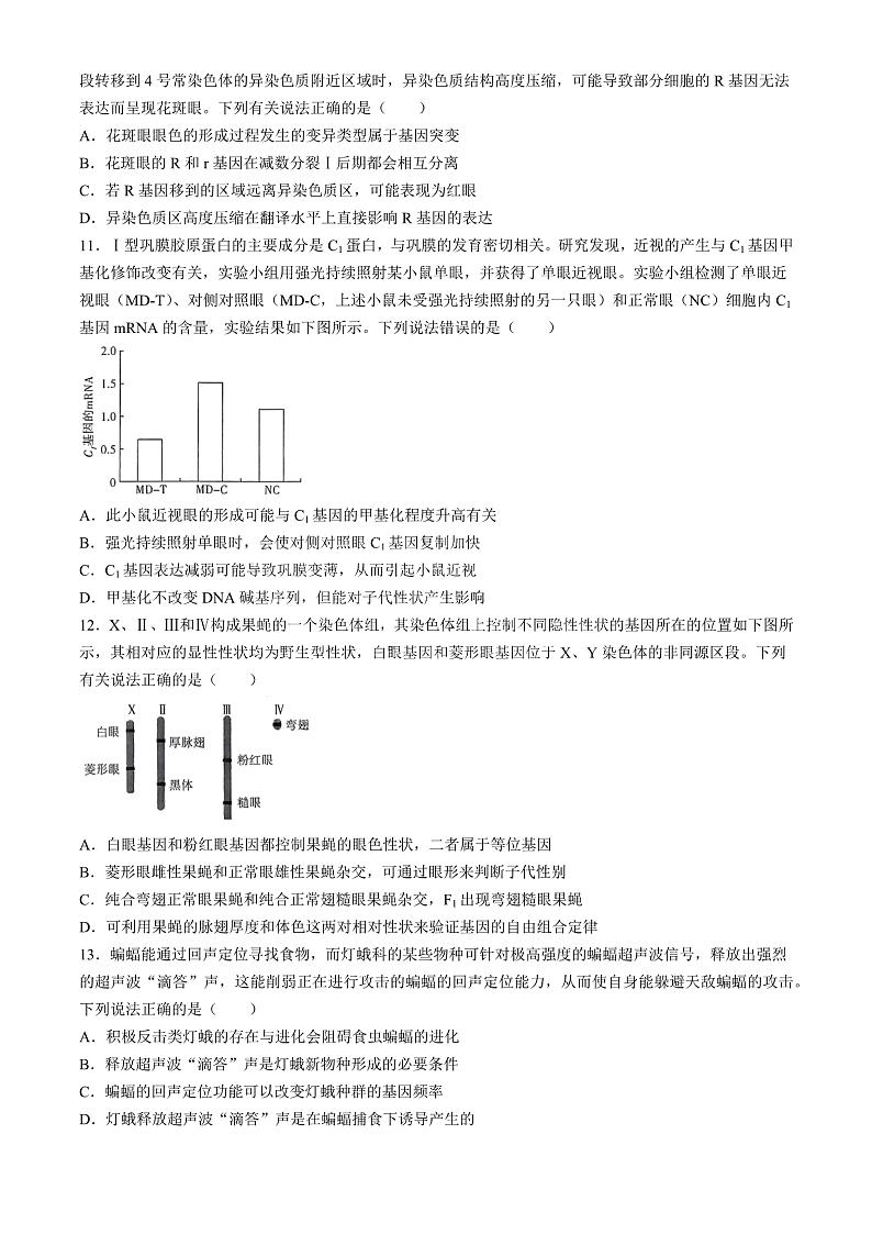 河南省天一大联考2024-2025学年高三上学期10月阶段性检测（二）生物试题（含答案）03