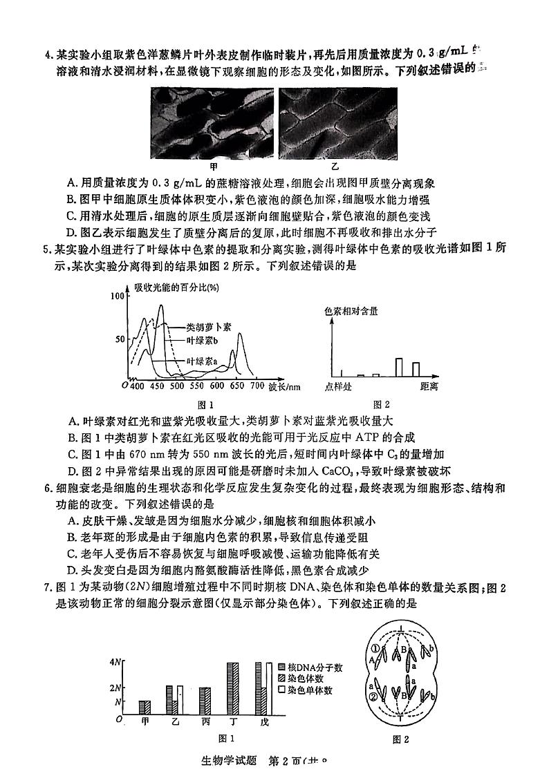 2025届高三金科新未来10月联考 生物试卷第2页