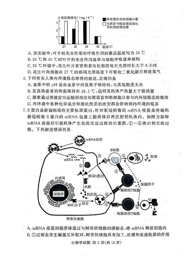 【补齐重发】【河南卷】河南省湘豫名校2024-2025学年高三上学期9月新高考适应性调研考试（9.19-9.20）           生物试卷第3页