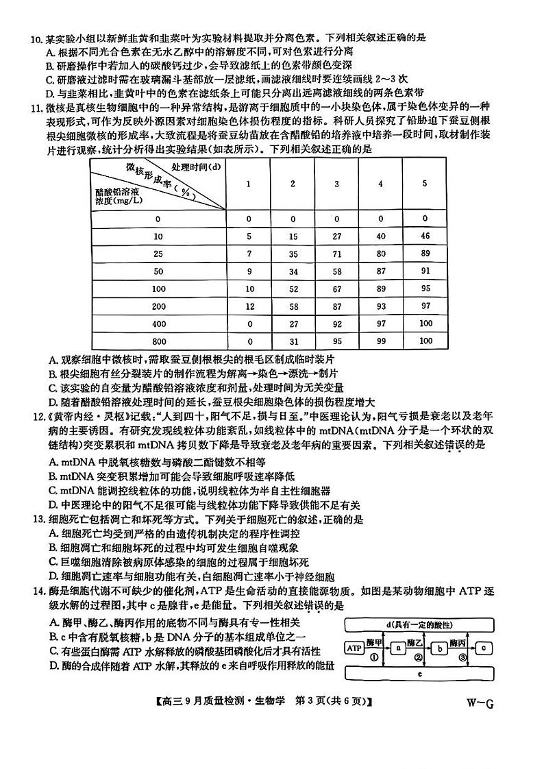 【河南卷】河南省九师联盟2025届高三上学期9月质量检测巩固卷（W-G） 生物试卷第3页