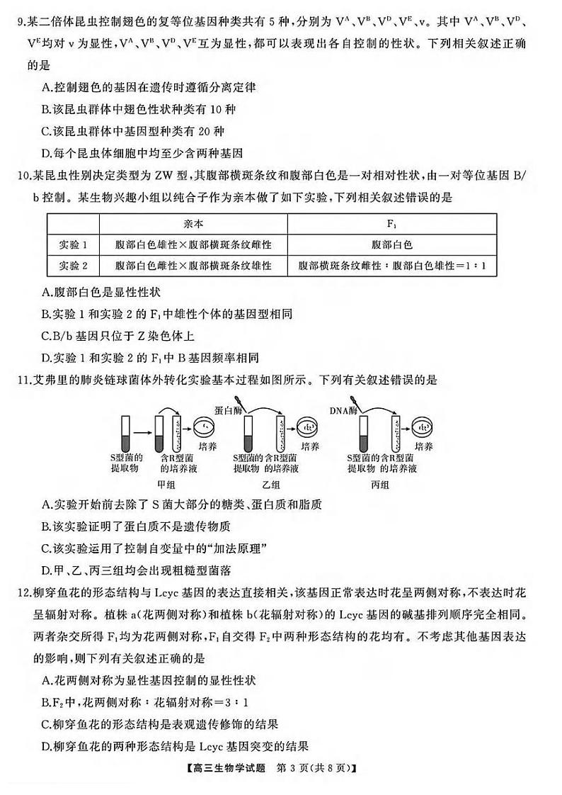生物丨天壹名校联盟湖南省2025届高三10月一轮复习大联考（二）生物试卷及答案02