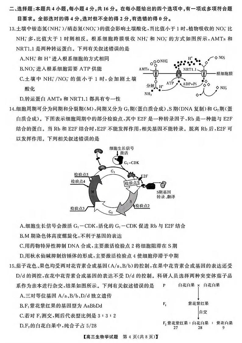 生物丨天壹名校联盟湖南省2025届高三10月一轮复习大联考（二）生物试卷及答案03