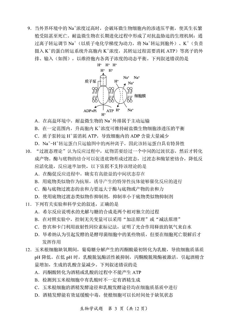 黑龙江省龙东联盟2024-2025学年高三上学期10月月考生物试卷第3页