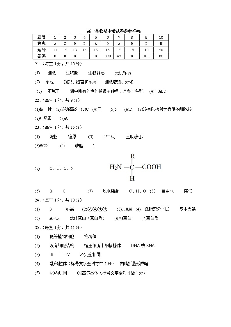 高一生物期中考试答案第1页