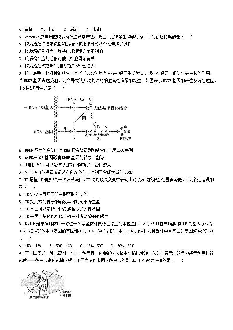 河南省安阳市林州市晋豫名校联盟2024-2025学年高三上学期10月月考生物试题第2页