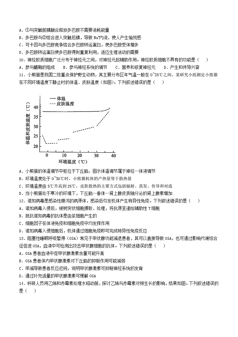 河南省安阳市林州市晋豫名校联盟2024-2025学年高三上学期10月月考生物试题第3页