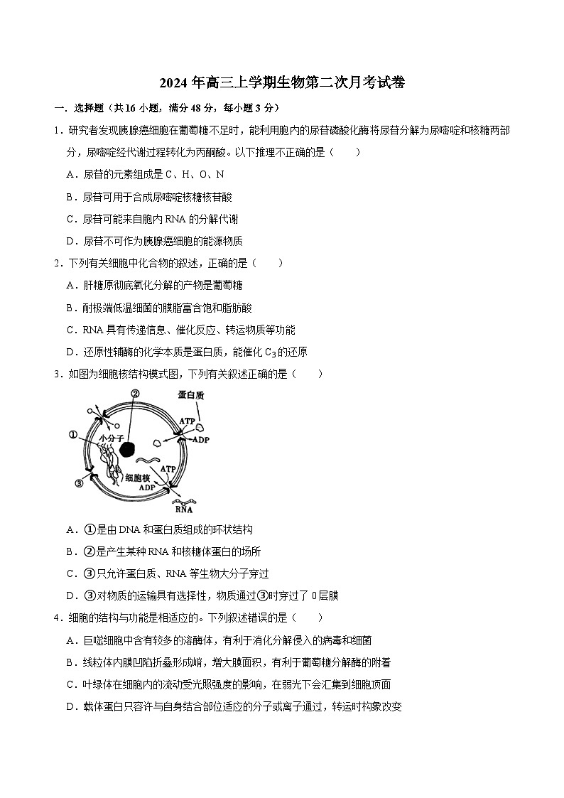 湖南省岳阳市临湘市2024-2025学年高三上学期10月月考生物试题第1页