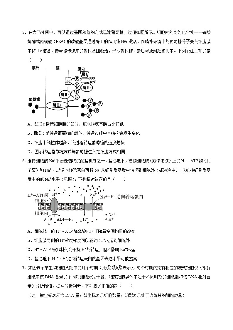 湖南省岳阳市临湘市2024-2025学年高三上学期10月月考生物试题第2页