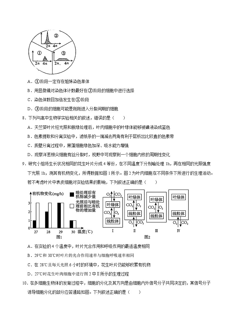 湖南省岳阳市临湘市2024-2025学年高三上学期10月月考生物试题第3页