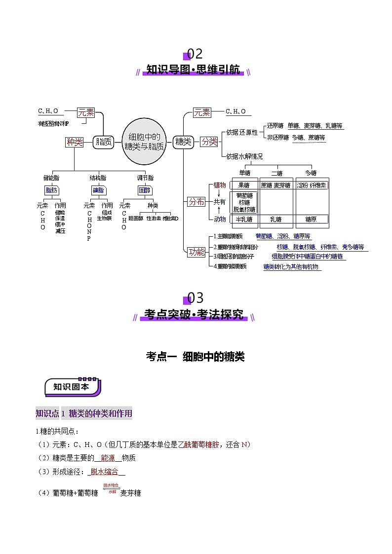 新高考生物一轮复习讲练测第03讲 糖类和脂质（讲义）（解析版）第2页