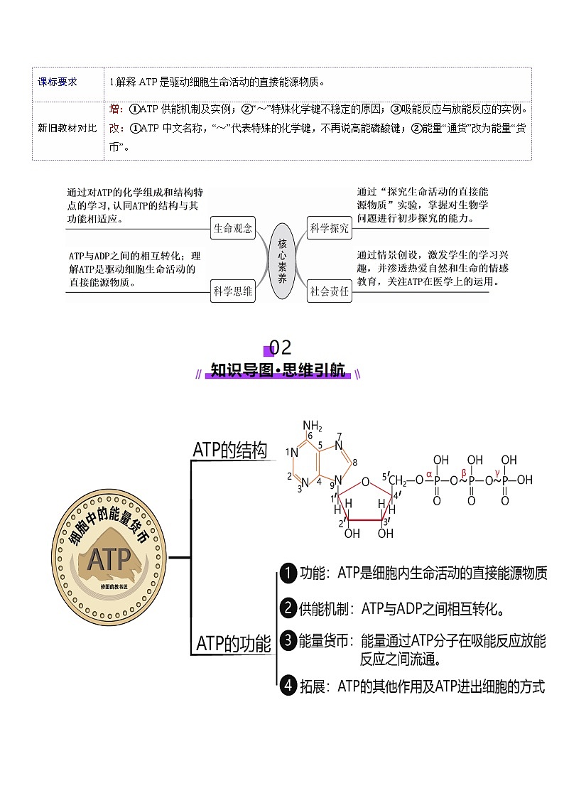 新高考生物一轮复习讲练测第08讲 酶和ATP（第二课时）（讲义）（解析版）第2页