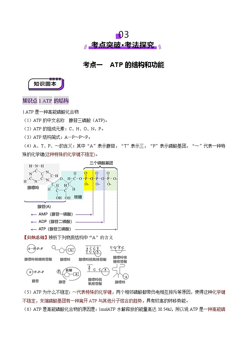 新高考生物一轮复习讲练测第08讲 酶和ATP（第二课时）（讲义）（解析版）第3页