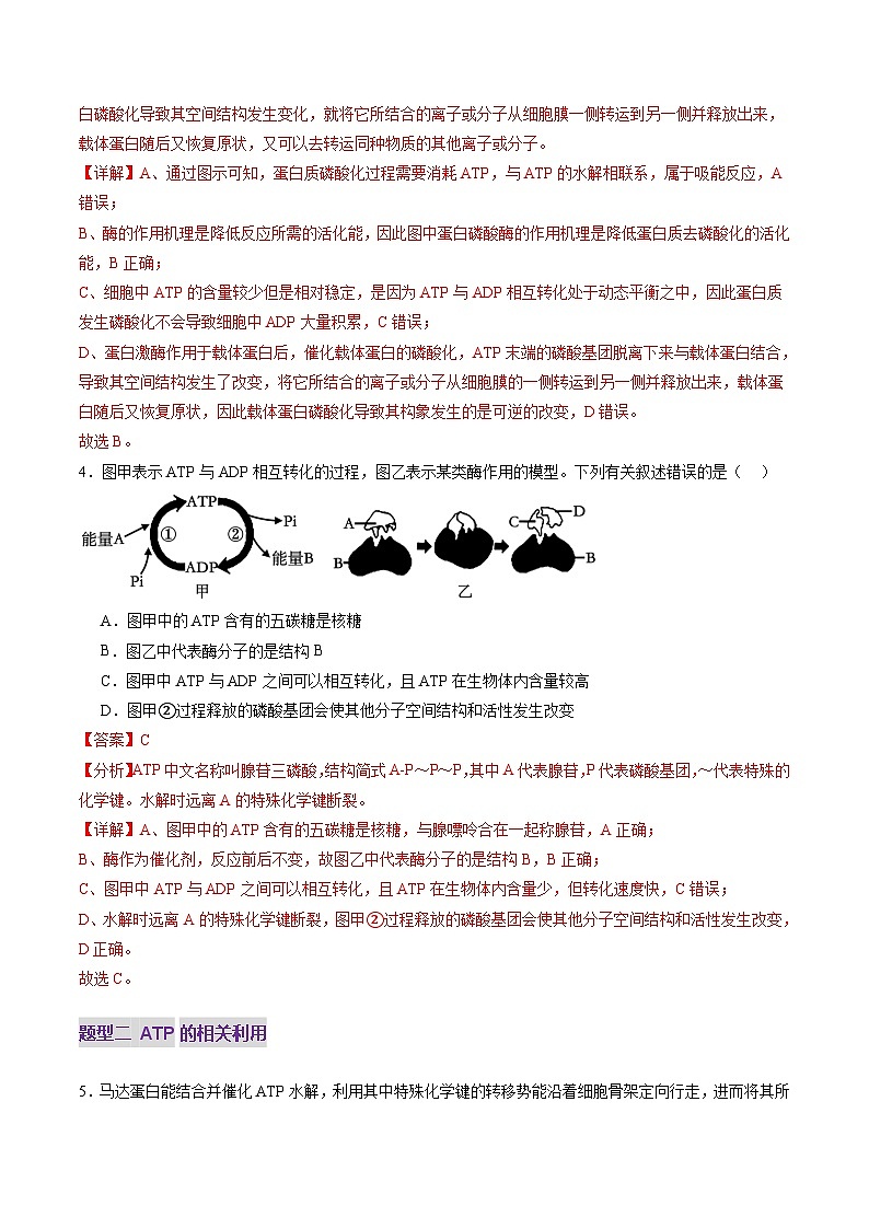 新高考生物一轮复习讲练测第08讲 酶和ATP（第二课时）（练习）（解析版）第3页