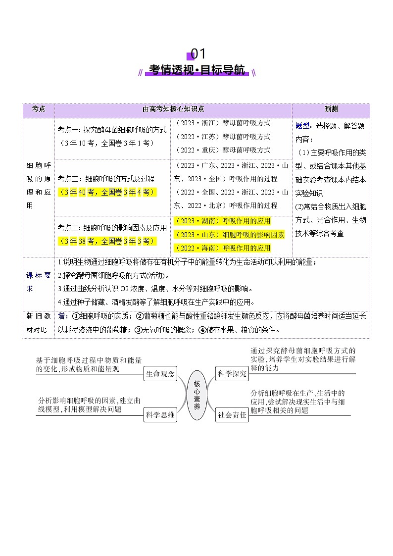 新高考生物一轮复习讲练测第09讲 细胞呼吸（讲义）（原卷版）第2页