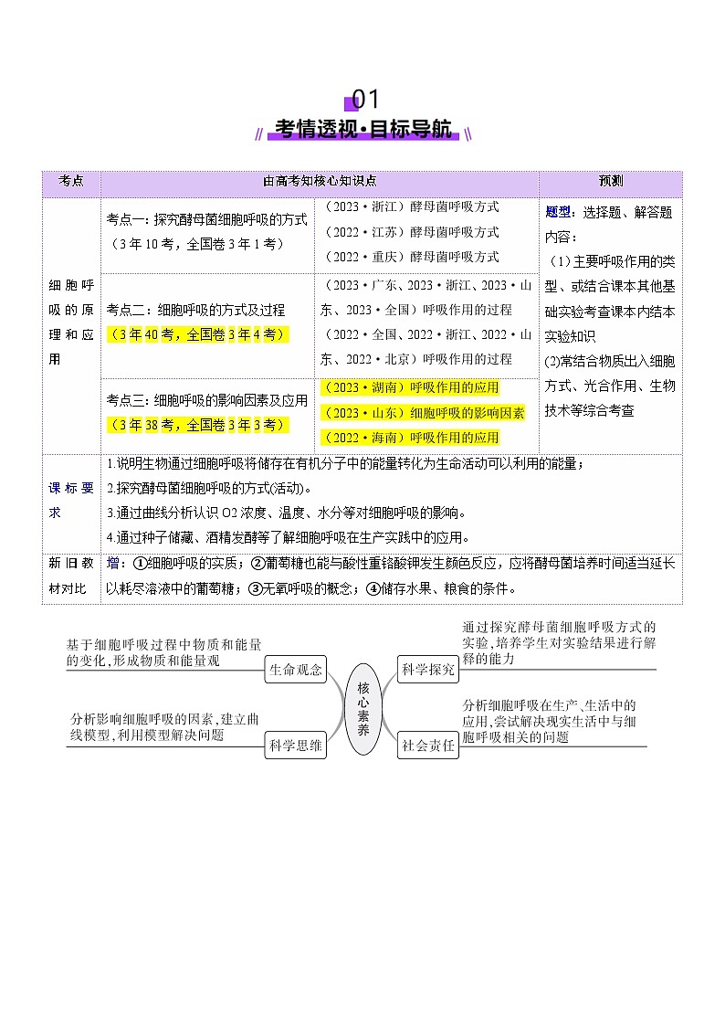 新高考生物一轮复习讲练测第09讲 细胞呼吸（讲义）（解析版）第2页