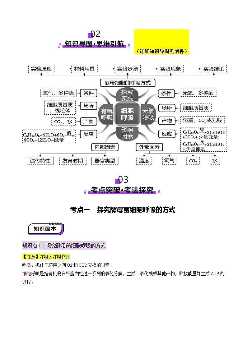 新高考生物一轮复习讲练测第09讲 细胞呼吸（讲义）（解析版）第3页
