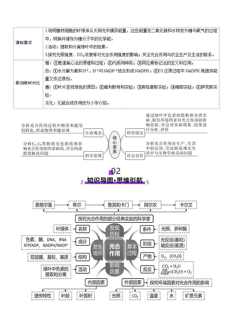新高考生物一轮复习讲练测第10讲 光合作用（第二课时）（讲义）（原卷版）第2页