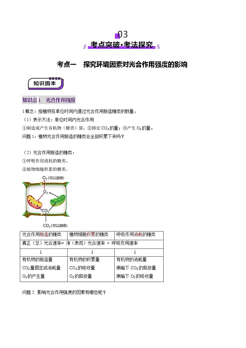 新高考生物一轮复习讲练测第10讲 光合作用（第二课时）（讲义）（原卷版）第3页